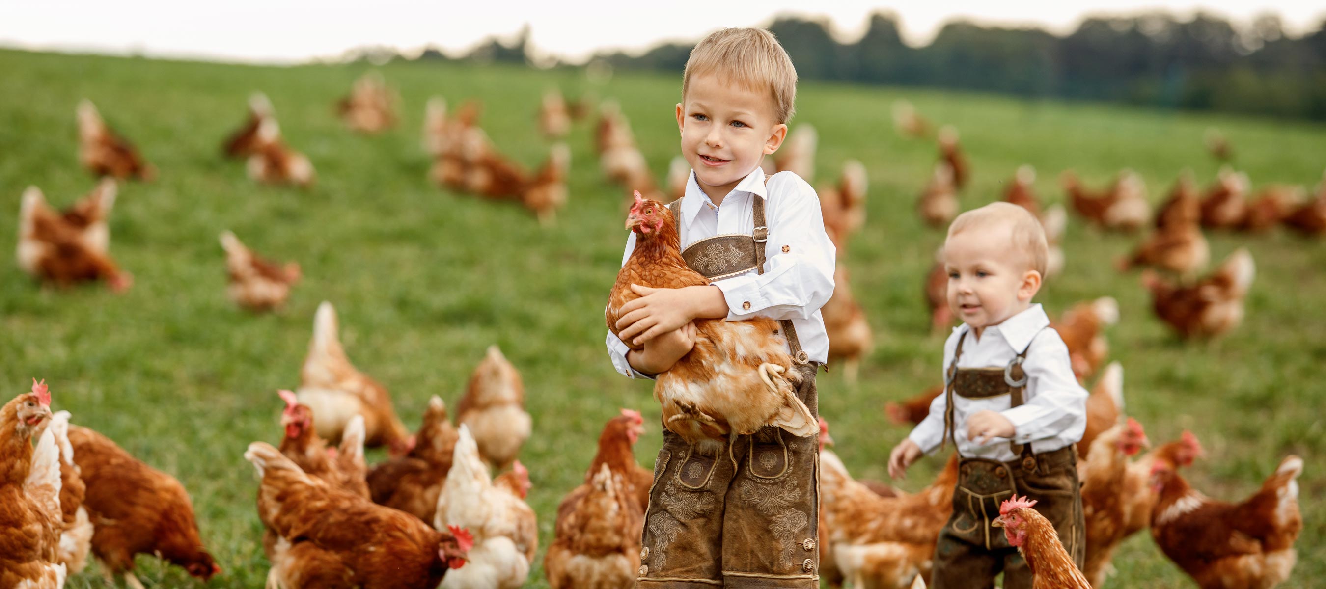 gsellmann futter futtermittel mischfuttererzeugung gnas fladnitz steiermark geflügelfutter biofutter