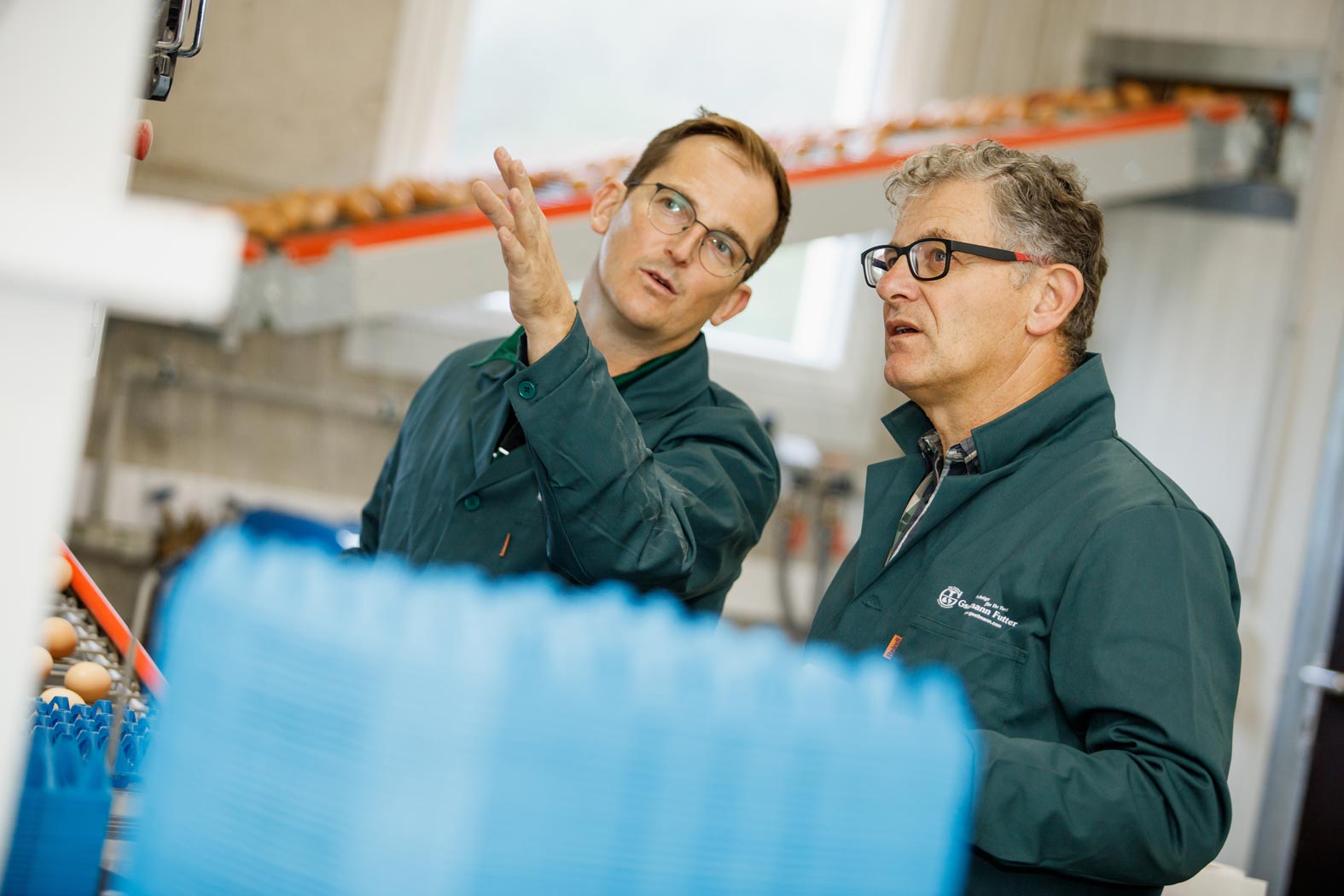 gsellmann futter futtermittel mischfuttererzeugung gnas fladnitz steiermark geflügelfutter rinderfutter schweinefutter biofutter