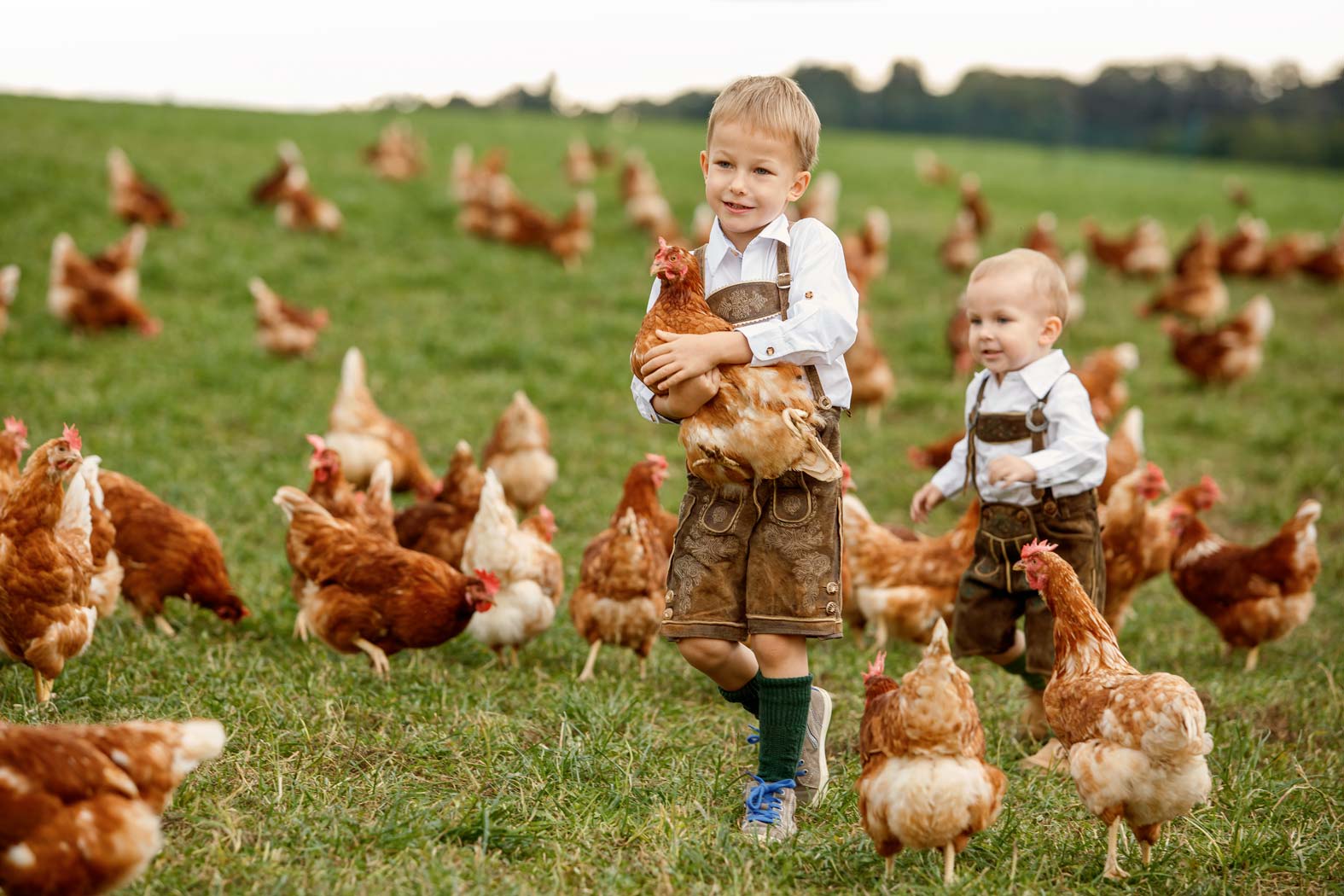 gsellmann futter futtermittel mischfuttererzeugung gnas fladnitz steiermark geflügelfutter rinderfutter schweinefutter biofutter