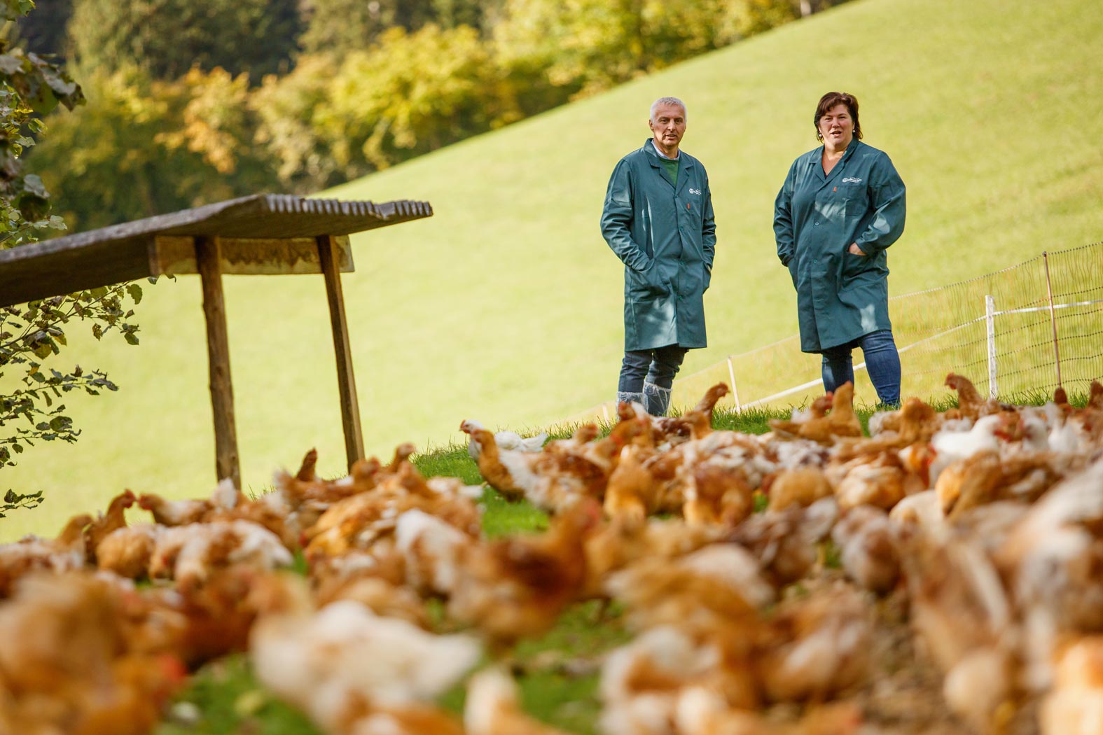 gsellmann futter futtermittel mischfuttererzeugung gnas fladnitz steiermark geflügelfutter rinderfutter schweinefutter biofutter