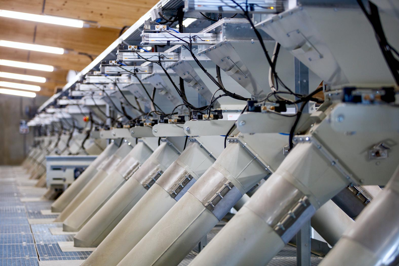 gsellmann futter futtermittel mischfuttererzeugung gnas fladnitz steiermark geflügelfutter rinderfutter schweinefutter biofutter